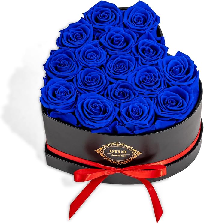 16 Preserved Roses in Heart-Shaped Box, Flowers for Delivery Prime Last up 2 Years, Real Forever Flowers for Wife, Girlfriend, Mother, Eternal Roses for Anniversary - Blue