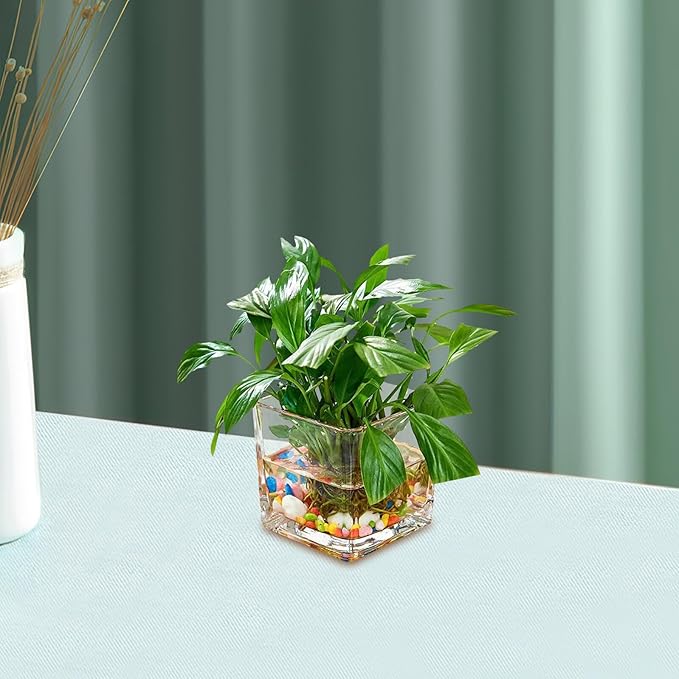 Healifty Clear Square Glass Vase Thick Transparent Cube Hydroponic Planter Modern Decorative Flower Container for Home Table Centerpiece