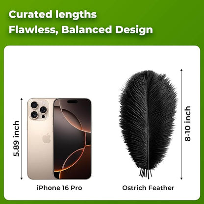 Piokio 20 pcs Natural Black Ostrich Feathers Plumes 8-10 inch(20-25 cm) Bulk for DIYclothes Plumas para, Feather Pens, Dream Catcher, Gatsby Decorations
