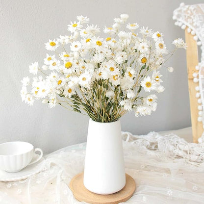Dried Daisy Flowers Bouquet, 250+ Dry White Flowers, Artificial Sunflowers, 17'' Natural Gerber Daisies Arrangements for Farmhouse Vase Decor, Wedding, DIY Home Office Party Decoration