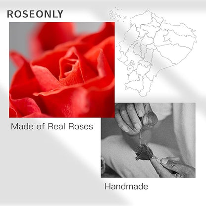 roseonly. Preserved Rose with Sweet Bunny, Eternal Flowers Gifts for Women Girlfriend Wife Mothers Real Roses for Valentine's Day Christmas Birthday Mother's Day Anniversary (Mini)