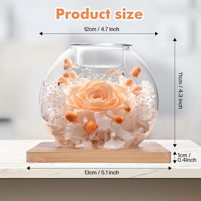 Christmas Birthday Gifts for Women Preserved Roses in Glass Dome with Scented - Romantic Preserved Flower for Women, Girlfriend, Wife, Mom, Grandma, Sister, Her-Champagne