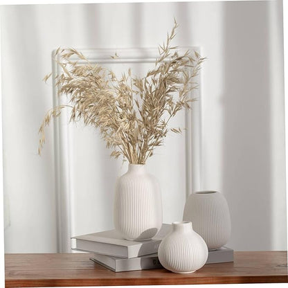 3Pcs Ceramic Vases, Ribbed Vase Set, Minimalist White Home Decor for Farmhouse, Coffee Table, Bookshelf Ceramic Vase