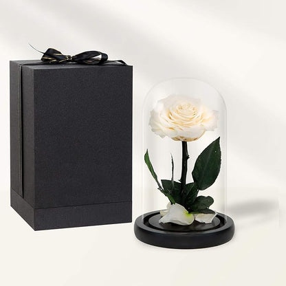NATROSES Handmade Preserved Roses in Glass Dome, White Roses, Preserved Flowers Gifts for Women, Mothers Day Flowers