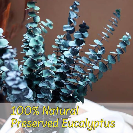Preserved-Dried-Eucalyptus-Stems,16-17" Natural Blue-Green Eucalyptu Plant Live Fresh, Real Eucalyptus Branches Leaves for Shower Spa, Blue Dried Flowers for Vase Fillers, Home Decor & Wedding (16Pcs)