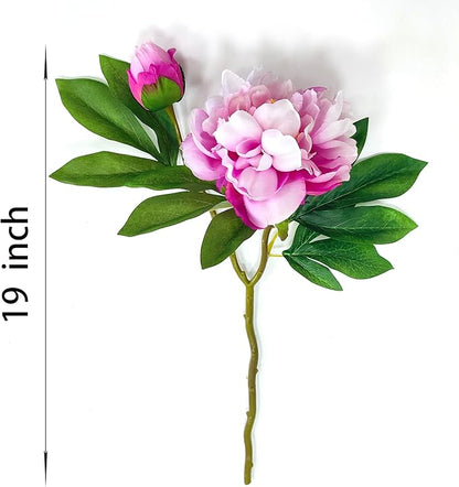 Purple Pink Peonies Artificial Flowers,5 Pcs Fake Silk Peonies with Stems Real Look,Peony Bush for Home Decor (5, Purple Pink)