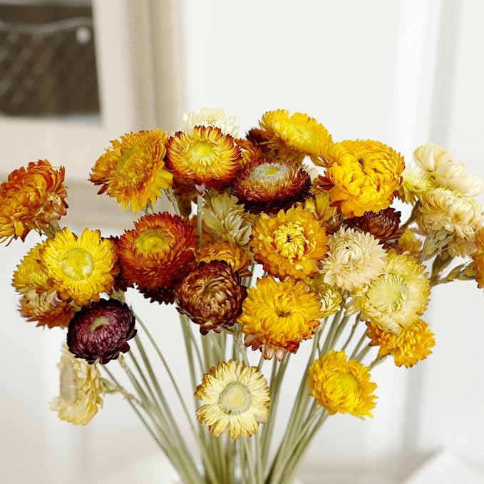 Dried Flower 40PCS Daisy Bouquet 100% Natural Chrysanthemum Dry Flower for Vase Home décor Party DIY Arrangement Wheat Straw Bulk （Multi-Color）