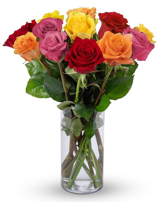 Benchmark Bouquets - 12 Stem Premium Rainbow Roses (Glass Vase Included) - Fresh Flowers for Next Day Delivery - Gift for Christmas, Birthday, Anniversary, Sympathy, Get Well, Congratulations