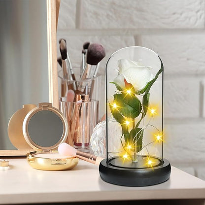 QUELIEN White Roses in Glass Dome,Eternal Rose Gift for Women,Lasts Forever Home Decor,Mother's Day Christmas (White)