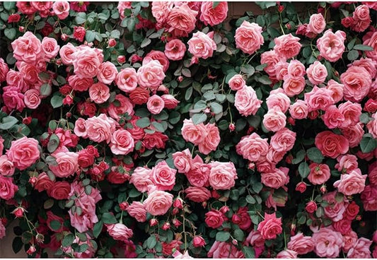 20x10ft Pink Rose Flower Photo Background Wedding Bridal Newborn Shower Birthday Party Photography Backdrops Banner Decor Anniversary Ceremony Couple Studio Props