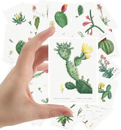 Large Stickers 24 pcs (2.5"x3.5" Each) Cactus and Succulents Vintage Botannical Books Illustrations by Redoute Retro Postcards Greeting Card Reprint