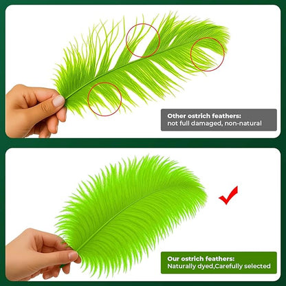 Piokio 20 pcs Lemon Green Ostrich Feather Plumes 12-14 inch(30-35 cm) Bulk for Wedding Party Centerpieces and DIY Clothes Decoration, Gatsby Decorations