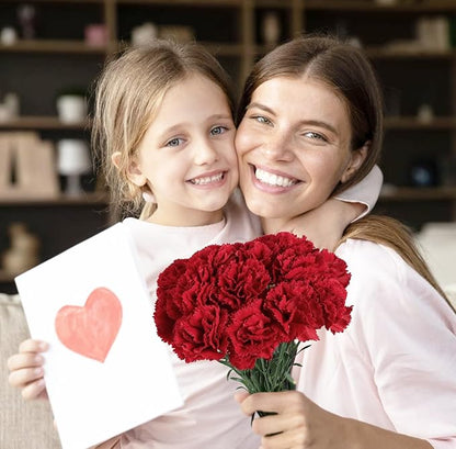 Carnations Artificial Flowers 15PCS 21.25in Velvet Fake Carnations Flowers for Wedding Home Table Centerpieces Floral Arrangements(Retro Red)