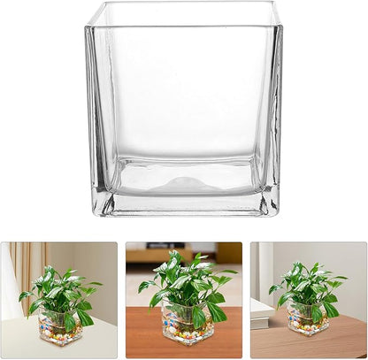 Healifty Clear Square Glass Vase Thick Transparent Cube Hydroponic Planter Modern Decorative Flower Container for Home Table Centerpiece