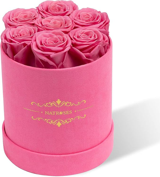 NATROSES 7 Piece Preserved Roses in a Box, Preserved Flowers for Birthday, Flower Gifts for Mothers Day (Pink)