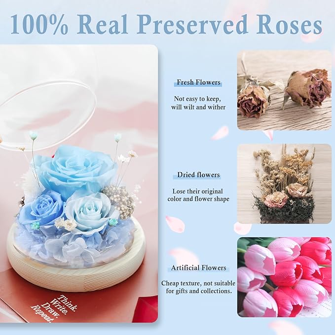 FIACO Preserved Rose Birthday Gift for Women Forever Fresh Flowers for Prime Delivery Gift for Mom Grandma Wife Valentines Mothers Day Christmas Anniversary Eternal Roses in Glass Dome