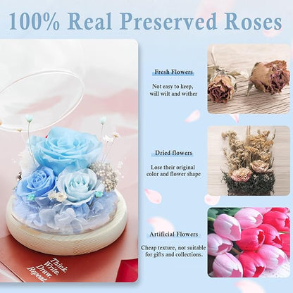 FIACO Preserved Rose Birthday Gift for Women Forever Fresh Flowers for Prime Delivery Gift for Mom Grandma Wife Valentines Mothers Day Christmas Anniversary Eternal Roses in Glass Dome