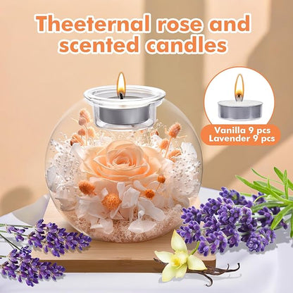 Christmas Birthday Gifts for Women Preserved Roses in Glass Dome with Scented - Romantic Preserved Flower for Women, Girlfriend, Wife, Mom, Grandma, Sister, Her-Champagne