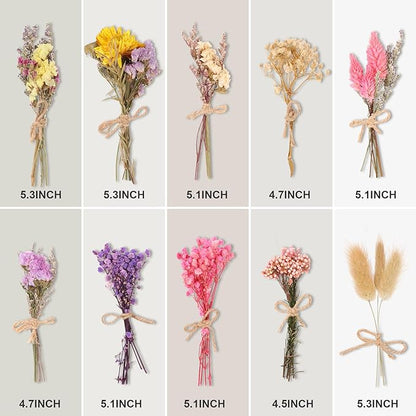 VAIPI 10 Pack Dried Flower Bouquets Various Dried Flower Combinations with Stem Mini Dried Embossing Natural Flower Bundles Artificial Flower Dried Floral Arrangement for Vase DIY Wedding Decor