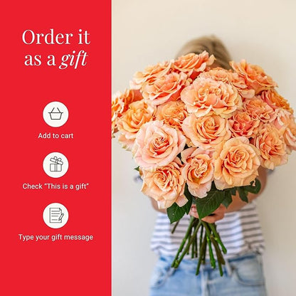 BloomsyBox- Peach Roses - 24 Long Stems, Long Lasting, Hand-Tied in Eco-friendly, Vase Not Included, Fresh Flowers for Delivery – Gift for Birthday, Anniversary, Get Well, Congratulations, Wedding