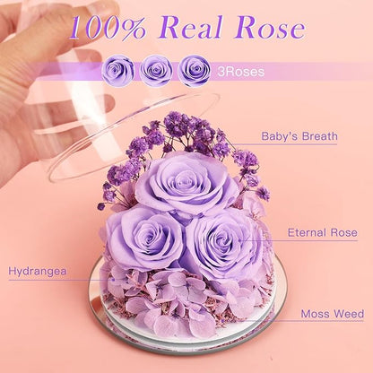 Preserved Flower Rose Gifts for Women, Forever Eternal Fresh Flowers in Glass Angel Figurines Real Purple Roses for Delivery Prime for Grandma Mom Sister Her Wife on Mothers Day Birthday Christmas