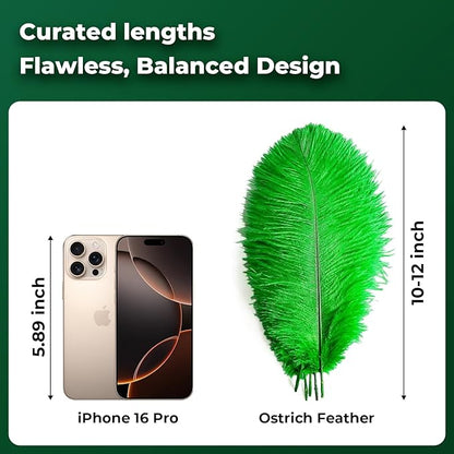 Piokio 20pcs Natural Green Ostrich Feathers 10-12 inch (25-30cm) Bulk Feathers for Home Decoration and DIY Clothing and St. Patrick Decoration, Gatsby Decorations