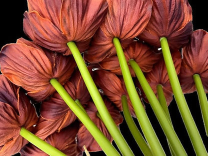 14Pcs Real Touch Anemone Poppy Bouquet for Artificial Flower Decor Kitchen Table Centerpiece Vase Home Greenery Wedding Holding Flowers Backdrop Arch Wall (Brown)