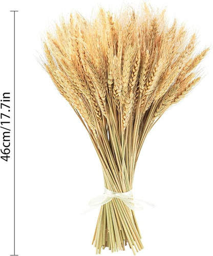 Uieke 17.7 Inches Dried Wheat Stalks, 300 Stems Dried Flowers 100% Natural Wheat for Home Kitchen Wedding Party Table Centerpiece Harvest Wreath Boho Farmhouse DIY Fall Decor