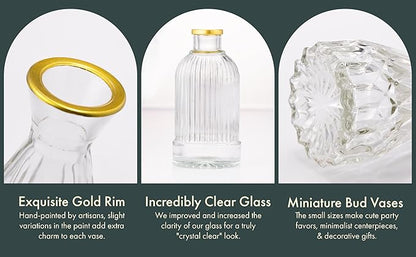 Premium Heirloom Hills Bud Vases for Home Decor, Crystal Clear Glass Flower Vase Set of 30 with Hand-Painted Gold Rims, Small Vases for Centerpieces and Wedding Decorations (Clear, Set of 30)