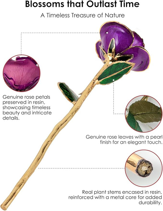 24K Gold Dipped Rose – Handpicked Real Rose in 24K Gold – Regal, One-of-a-Kind Romantic Gift for Her – Perfect for Birthday, Anniversary, Mother’s Day, Valentine’s (Purple)