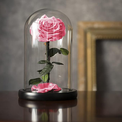 Forever Preserved Rose - Eternal Rose in Glass Dome - Beauty and The Beast Rose for Mom - Fresh Flowers for Delivery Prime (Pink, 9 Inch)