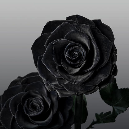 Glass Rose Preserved Flowers, 12.3inch Forever Roses Gift, Flowers for Delivery, Long Lasting Eternal Flower Rose Gifts for Women Mom Wife Girlfriend Grandma Black