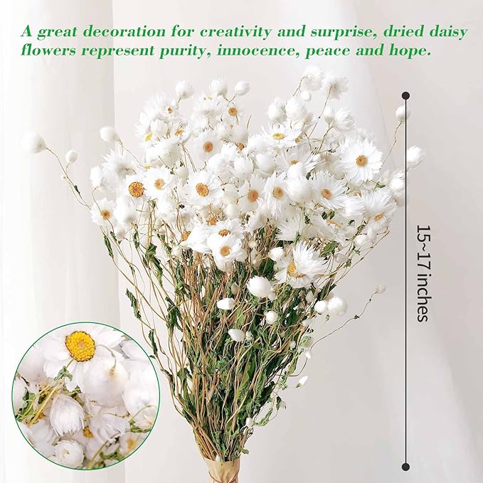 Dried Daisy Flowers Bouquet, 250+ Dry White Flowers, Artificial Sunflowers, 17'' Natural Gerber Daisies Arrangements for Farmhouse Vase Decor, Wedding, DIY Home Office Party Decoration