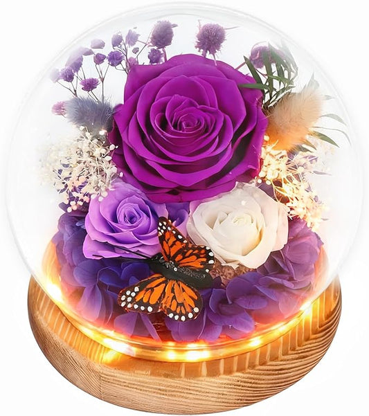 Real Preserved Flowers with LED Lights, Forever Eternal Roses Box, Gifts for Women, Mom, Wife, Girlfriend, Birthday Christmas Day & All Occasions, Home Decor