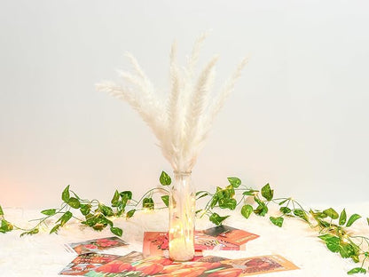 White Pampas Grass in Glass Vase with LED Lights & Faux Crystals, Dried Flowers Modern Floral Centerpiece for Home Decors Living Room Office Wedding Boho Farmhouse Table Decor