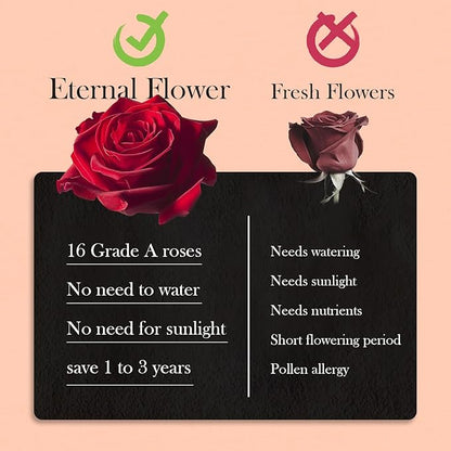 40 Real Preserved Roses in Suede Box Forever Roses Last Up to 3 Years, Flowers for Delivery Prime, Mother’s Day, Birthday, Christmas - Red
