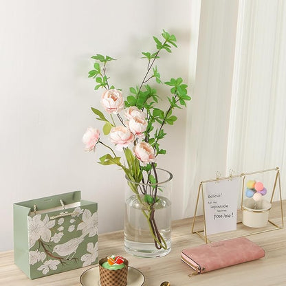 5’ Wide and 8" High Large Hand Blown Sturdy Clear Cylinder Glass Vase, Centerpiece Flower Vase for Rose, Tulip, Boquets, Hurricane Candle Holder (2, 5"x8")