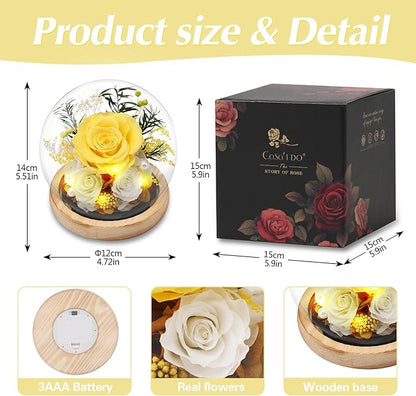 Preserved Roses Flowers for Delivery, Yellow Forever Flores in Glass Dome for Women Mom Grandma Wife Girlfriend, Eternal Rose Anniversary Birthday Gift for Valentines Mothers Day Christmas