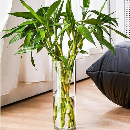 Clear Acrylic Flower Vase, Modern Unbreakable Decorative Cylinder Vase for Wedding Bouquets, Centerpieces, and Home Decor - 15cm Diameter, 25cm Height