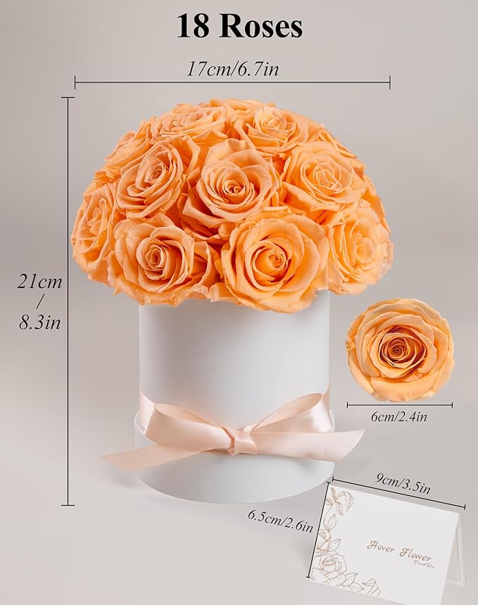 Preserved Roses Dome in a Box, Forever Real Roses Decor, Eternal Flowers for Delivery Prime, Best Gifts Birthday, Wedding, Anniversary, Mother's Day, Christmas for Her, 18-Pieces (Champagne)