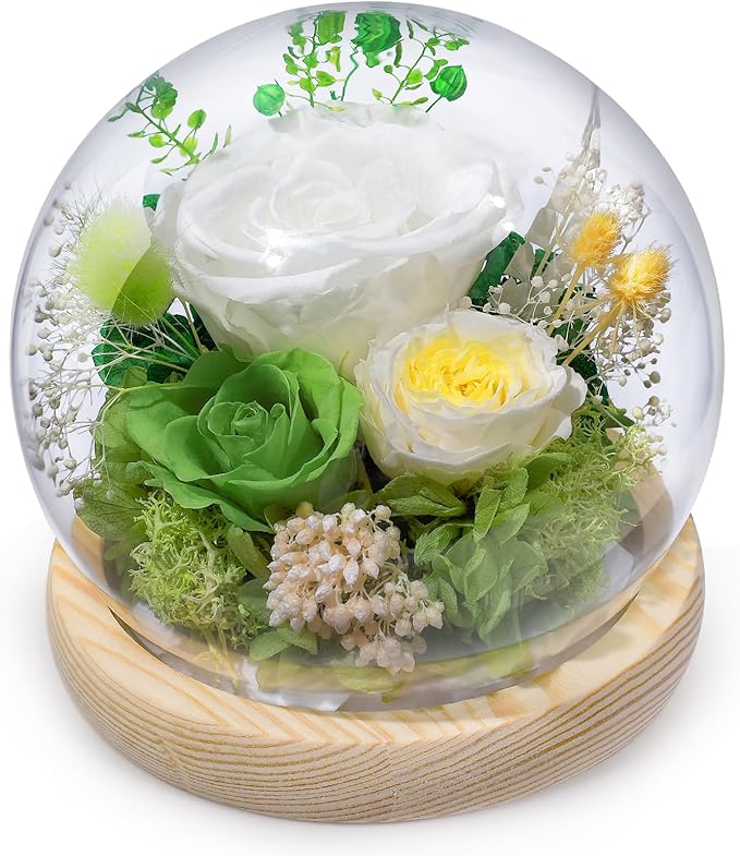 FIACO Preserved Rose Birthday Gift for Women Forever Fresh Flowers for Prime Delivery Gift for Mom Grandma Wife Valentines Mothers Day Christmas Anniversary Eternal Roses in Glass Dome