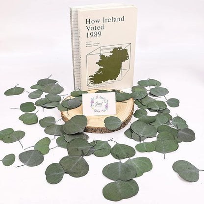 Real Eucalyptus Leaves for Shower 500PCS Green Dried Eucalyptus Leaves Bulk for Wedding Home Party Bridal Showers Baby Shower DIY Garland Cake Table Center Spring Decorations