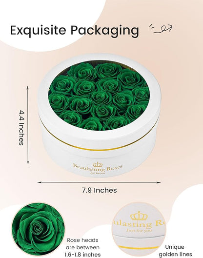 Preserved Roses Forever Flowers Real Roses in a Box Mother's Day Birthday Flowers for Her Mom Women Wife Valentine's Day, 16 Green Roses