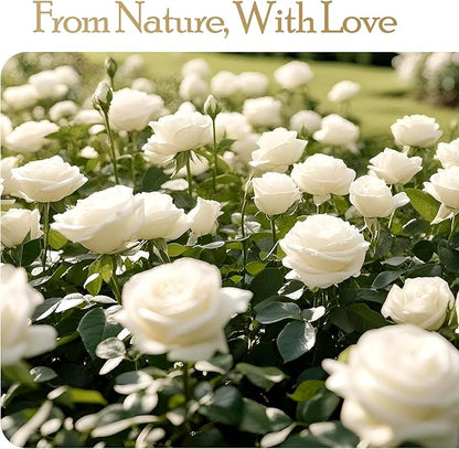 16 Preserved Flowers Rose Birthday Gifts for Women Her Mom Wife Girlfriend Grandma on Valentines Mothers Day Christmas Anniversary Romantic(White)