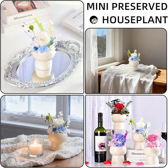 Preserved Floral Gift Set, Everlasting Rose in Small Ceramic Pot - Lasting Beauty for Home Table Decor, Mother's Day, Valentine's Day, Birthday, and Anniversary (White)