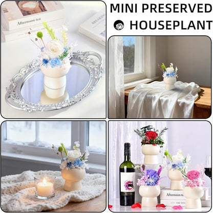 Preserved Floral Gift Set, Everlasting Rose in Small Ceramic Pot - Lasting Beauty for Home Table Decor, Mother's Day, Valentine's Day, Birthday, and Anniversary (White)
