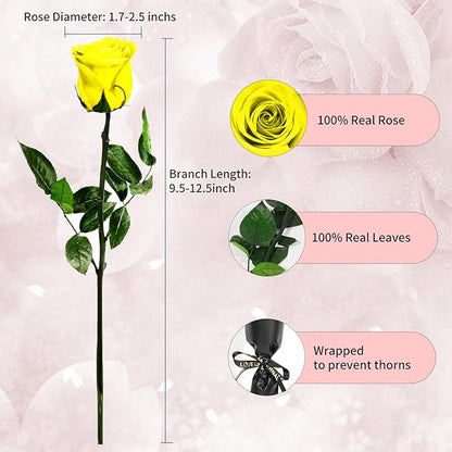 Yellow Single Forever Roses in a Box,Preserved Flowers for Delivery,Preserved Rose Gifts for Women, Real Roses Gift for Her, Mom Birthday Gifts, Mothers Day Flowers,Valentines Flowers
