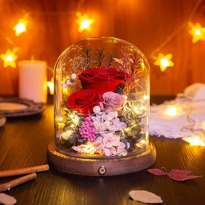 Large Preserved Flowers with Card&Box-Flowers for Delivery Prime,Eternal Rose with Lights,Roses in Glass Dome,Romantic Gift for Her,Decoration, Fresh Rose Flowers for Mom, Birthday, Anniversary (Red)
