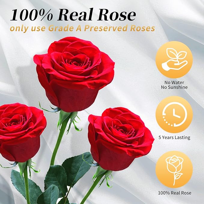 Single Forever Roses in a Box,Preserved Flowers for Delivery,Preserved Rose Gifts for Women,Real Roses Gifts for Her,Mom Birthday Mothers Day Valentines Flowers,Rainbow
