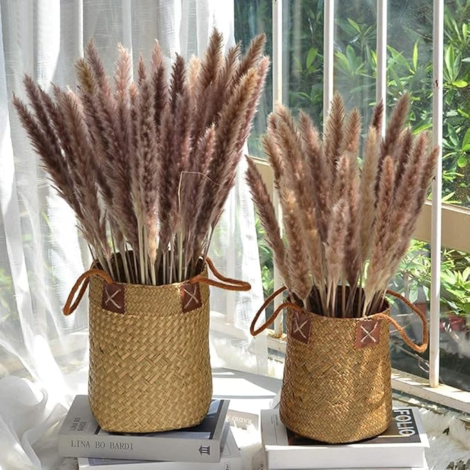 30 Pcs Pampas Grass ,17.7 inch/45cm Natural Dried Pampas Grass Branches Decor for Home Kitchen Garden Party Photographing Flower Arrangement Vase Decor (Natural)